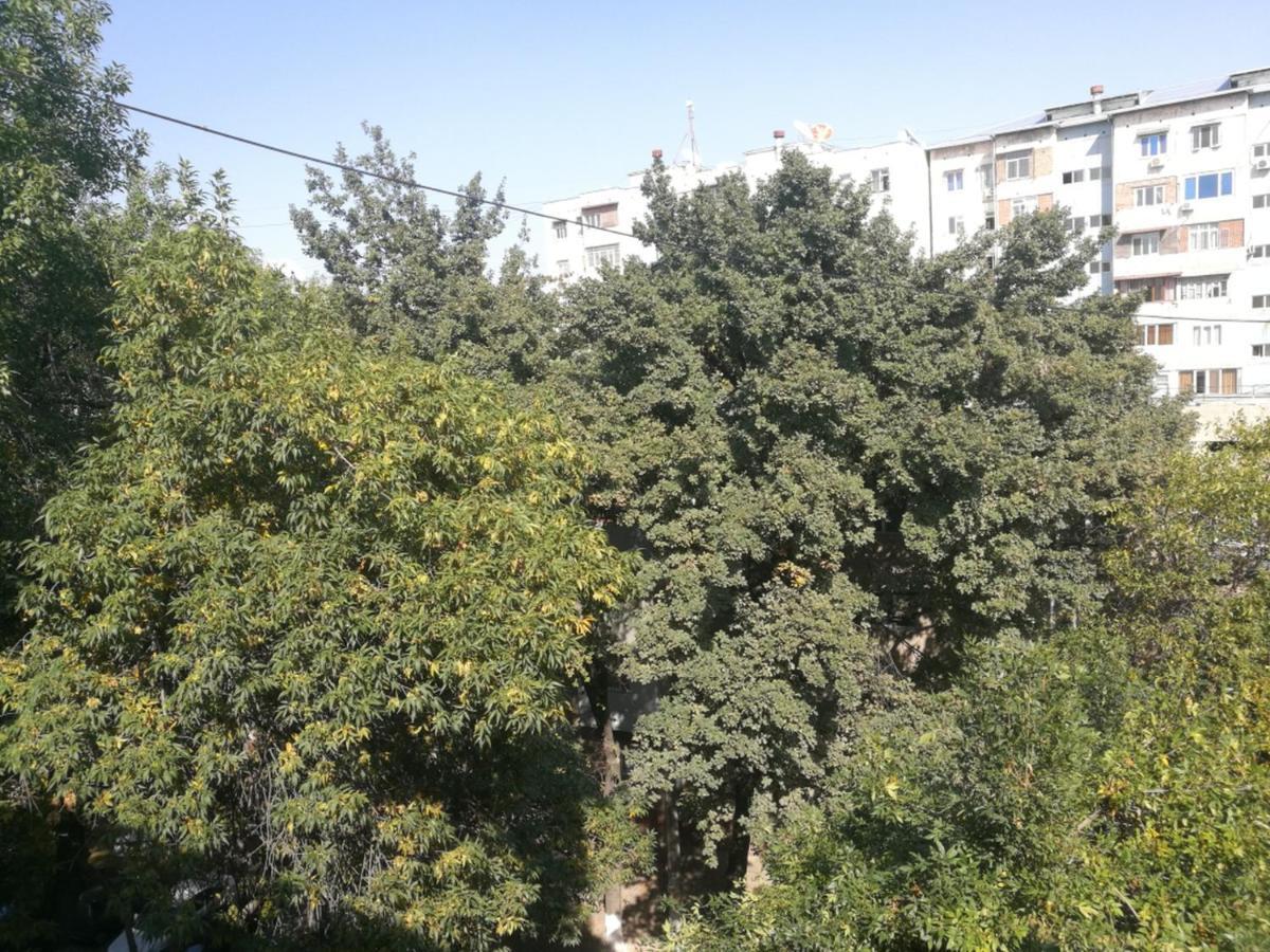 Apartment 2 Bed Room In The Center Апартамент 3-Х Комнатная В Центре Tasjkent Exteriör bild